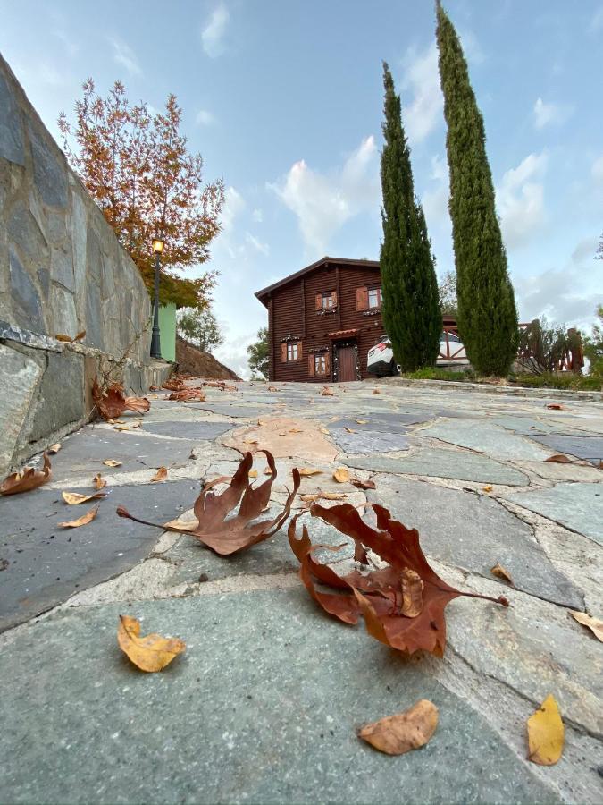 Anti Onirou Villa Flasou Exteriör bild